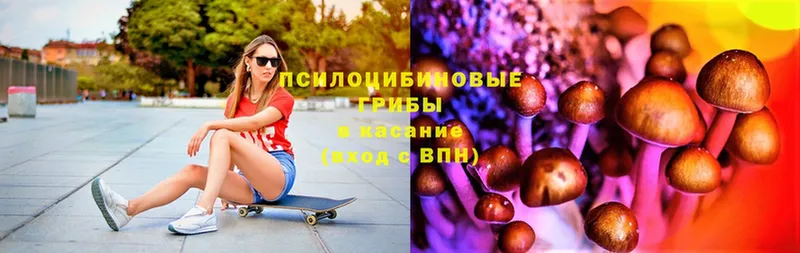 Галлюциногенные грибы GOLDEN TEACHER  Байкальск 